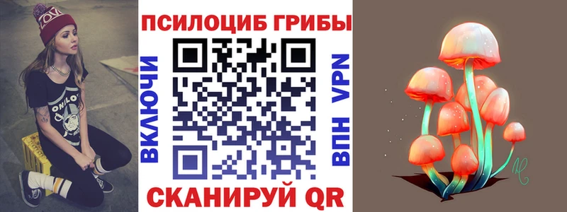 Псилоцибиновые грибы Psilocybe Себеж