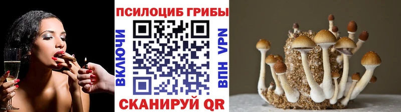 Псилоцибиновые грибы Cubensis мега зеркало Себеж купить наркотик